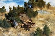 bruno liljefors orn jagande hare France oil painting artist